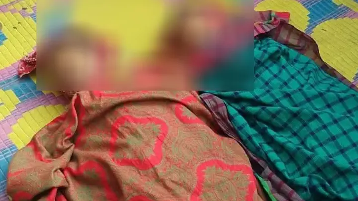 কেন্দুয়ায় বাড়ির আঙিনায় খেলাধুলার সময় বিদ্যুৎস্পৃষ্টে দুই ভাইয়ের মৃত্যু