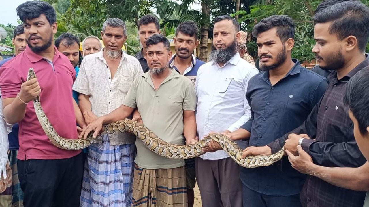 খাগড়াছড়িতে ৮ ফুটের অজগর উদ্ধার