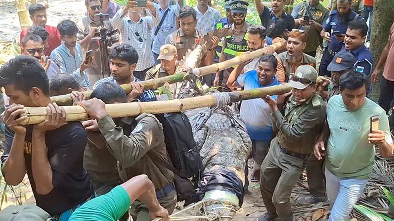 খানজাহান আলী দিঘির সেই কুমির অপসারণ