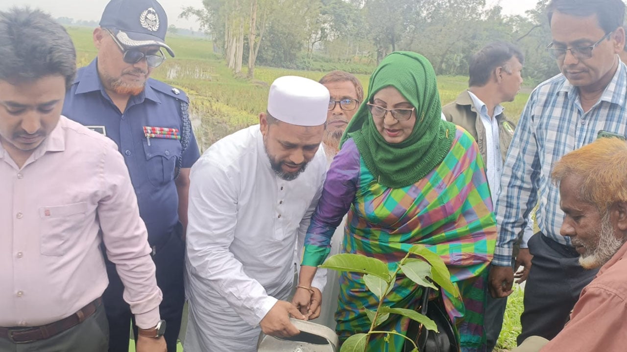কিশোরগঞ্জে ৩ লাখ বৃক্ষরোপণ কর্মসূচি উদ্বোধন
