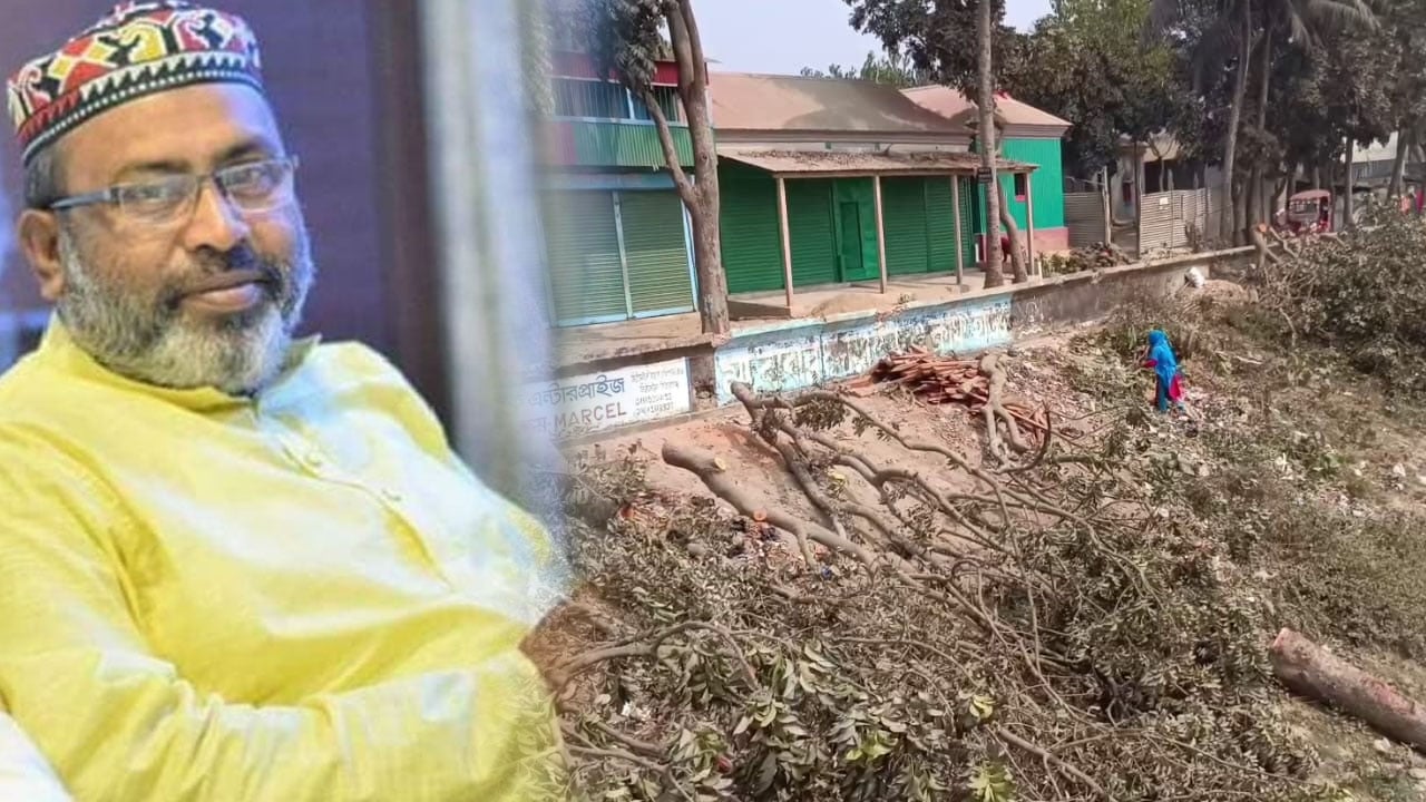 গাড়ি প্রবেশে বাধা হওয়ায় বেরিবাঁধের গাছ কেটে দিলেন বিএনপি নেতা