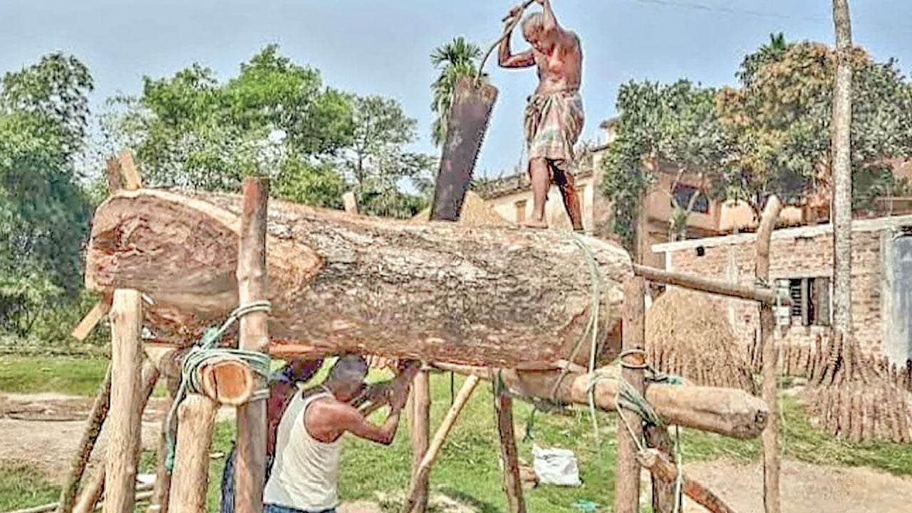 কালের বিবর্তনে হারিয়ে যাচ্ছে গ্রামবাংলার করাতি পেশা