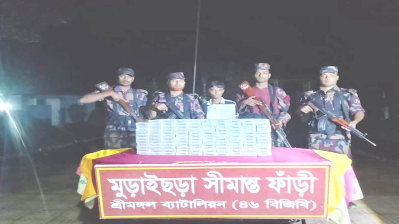 সীমান্তে ৬ লাখ টাকার ভারতীয় সিগারেট জব্দ, চোরাকারবারি আটক