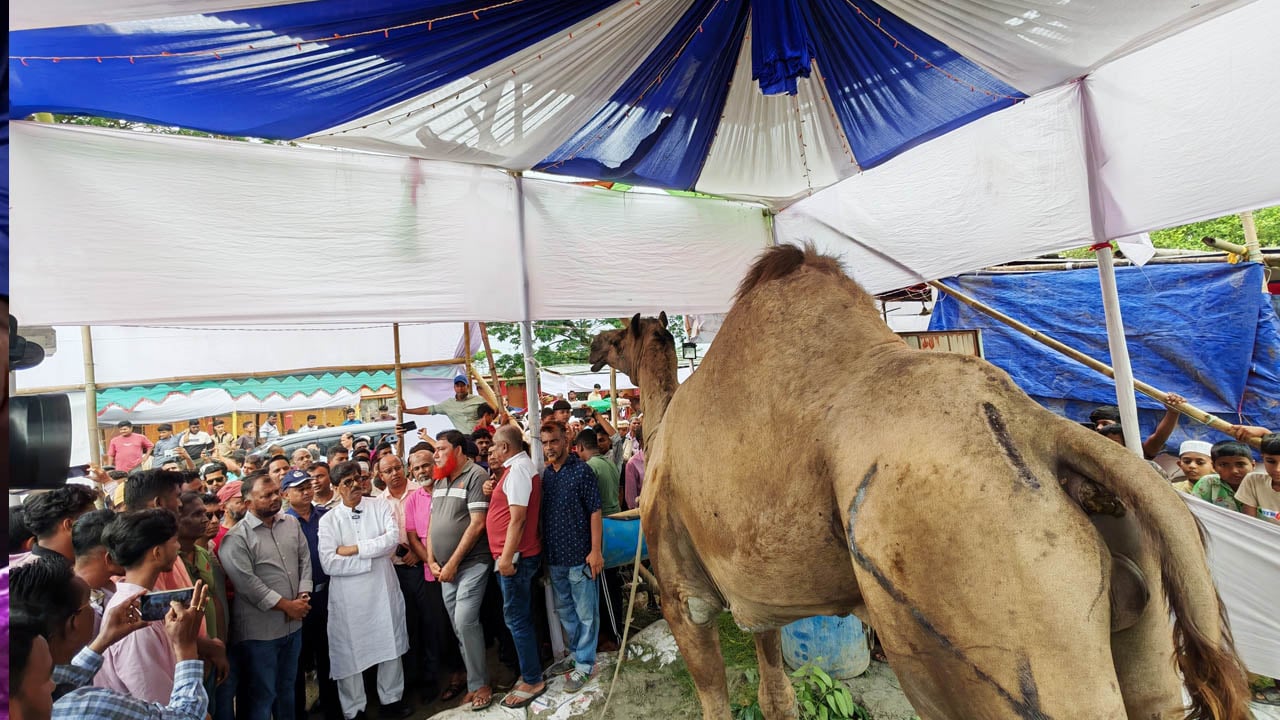 কোরবানির হাটে ভারতীয় পশু চোখে পড়েনি: প্রাণিসম্পদ মন্ত্রী