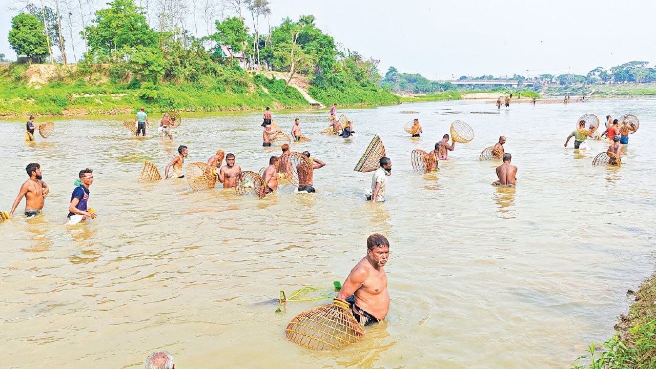 গোমতীর বুকে পলো উৎসব, মাছ শিকারিদের মিলনমেলা