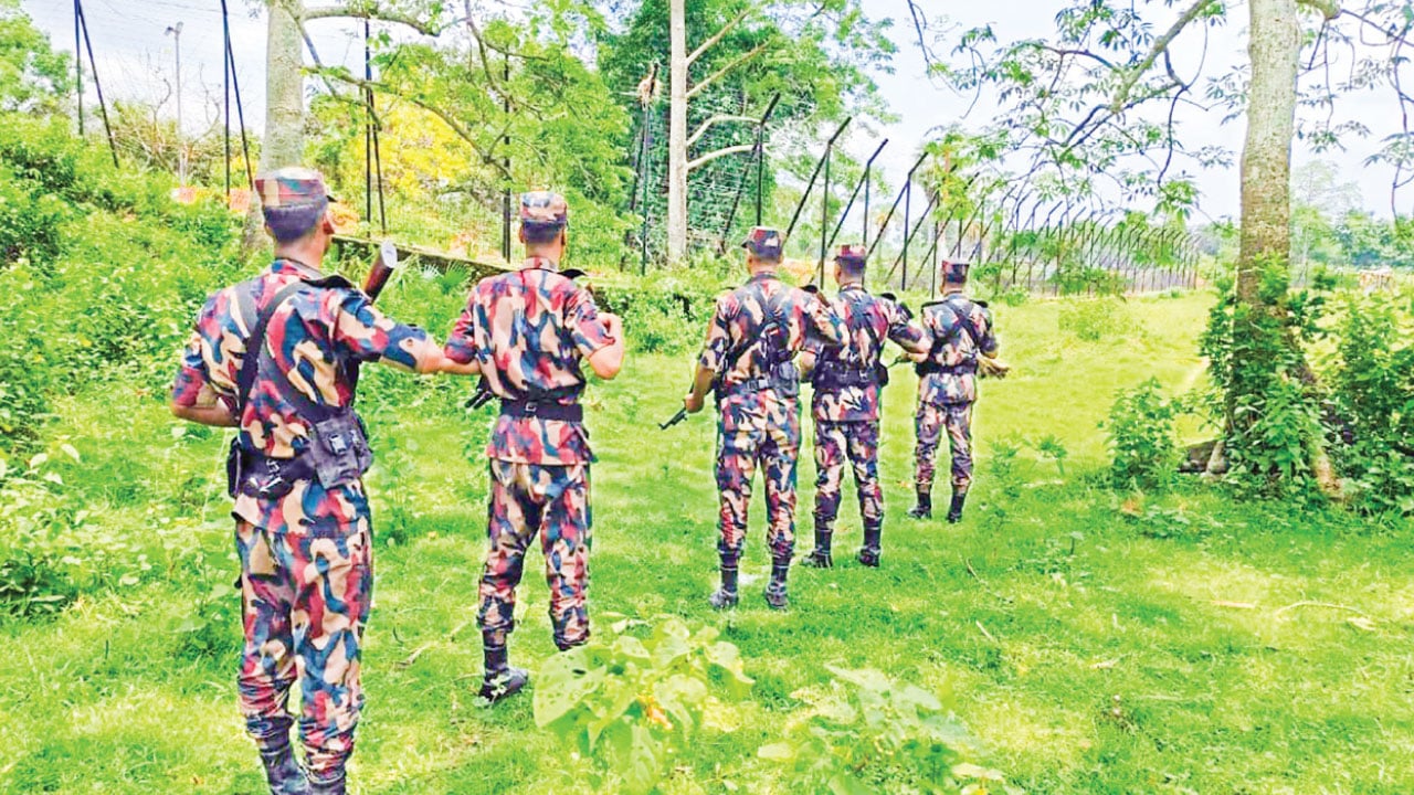 দেশি পশুতেই চাঙা কুমিল্লা, ভারতীয় গরু ঠেকাতে সীমান্তে কঠোর নজরদারি