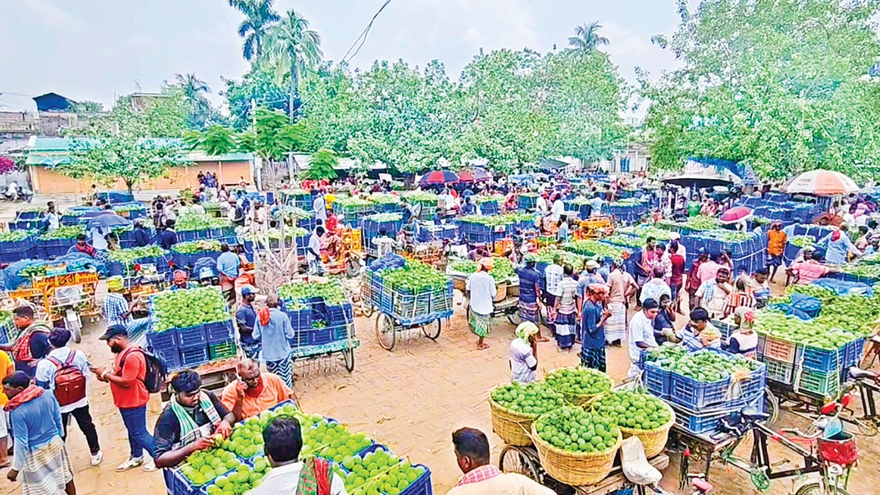 কানসাট বাজারে আমের দাম নিয়ে অসন্তুষ্ট চাষিরা