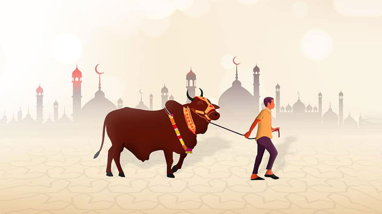 একনজরে কোরবানির জরুরি মাসায়েল