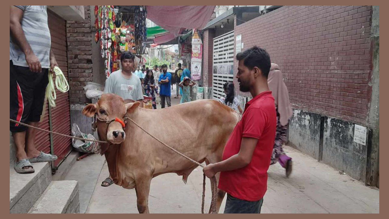 ঈদের দ্বিতীয় দিনেও পশু কোরবানি দিচ্ছেন ধর্মপ্রাণ মুসল্লিরা