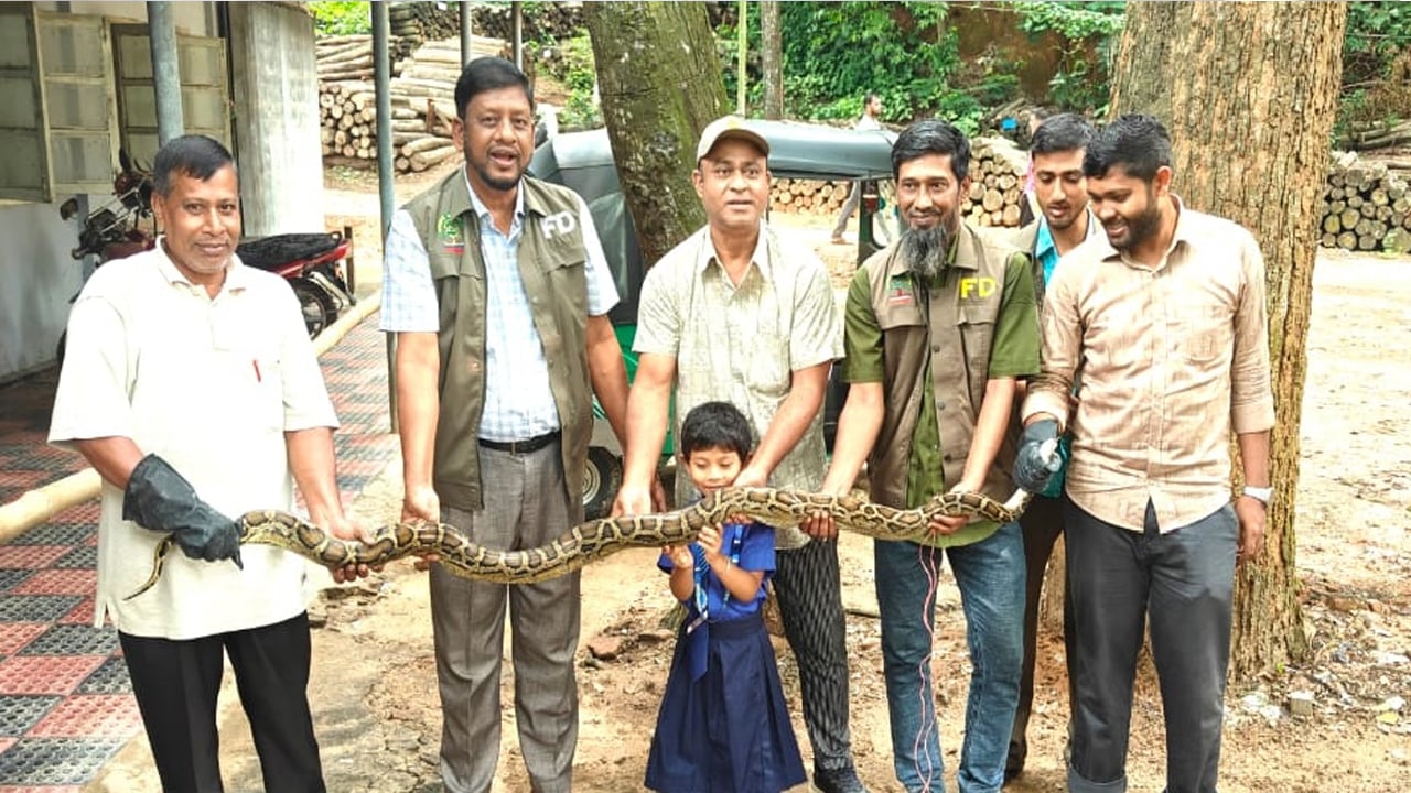রাঙামাটিতে কাপ্তাই জাতীয় উদ্যানে অজগর সাপ অবমুক্ত
