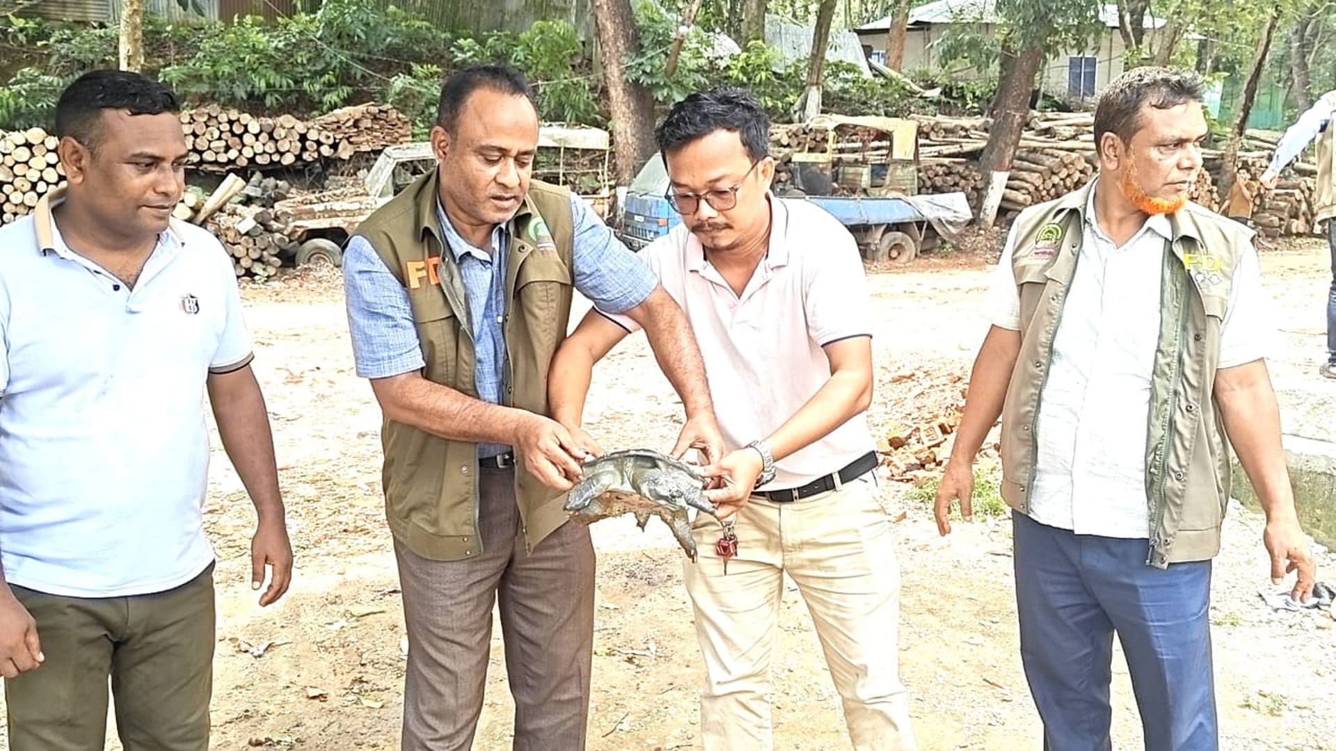 বিরল প্রজাতির কচ্ছপ উদ্ধার, কর্ণফুলী নদীতে অবমুক্ত