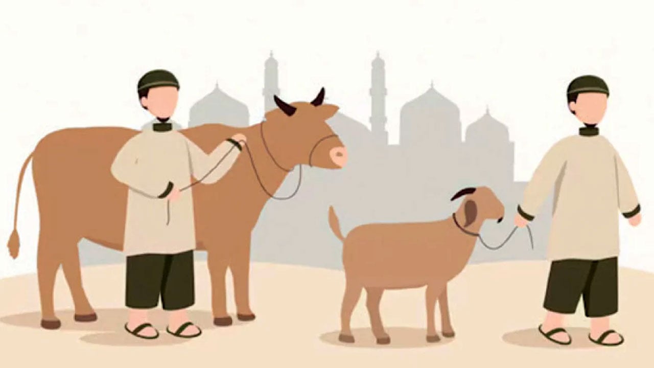 কোরবানি : ত্যাগের আনন্দ, হারানোর প্রাপ্তি