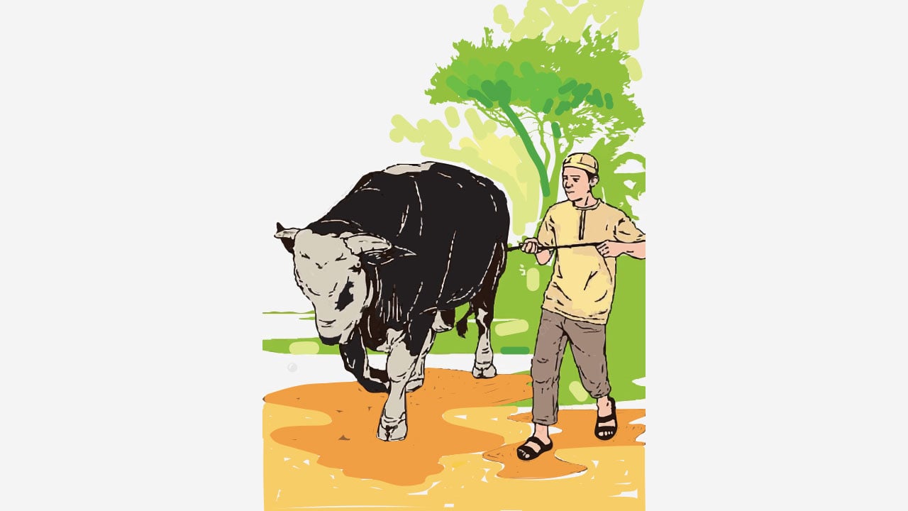 কোরবান
