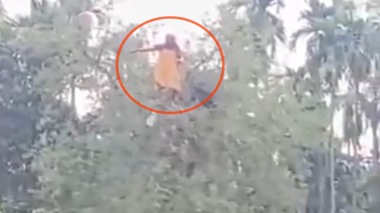নিখোঁজ বৃদ্ধাকে পাওয়া গেলো তেঁতুল গাছের মগডালে