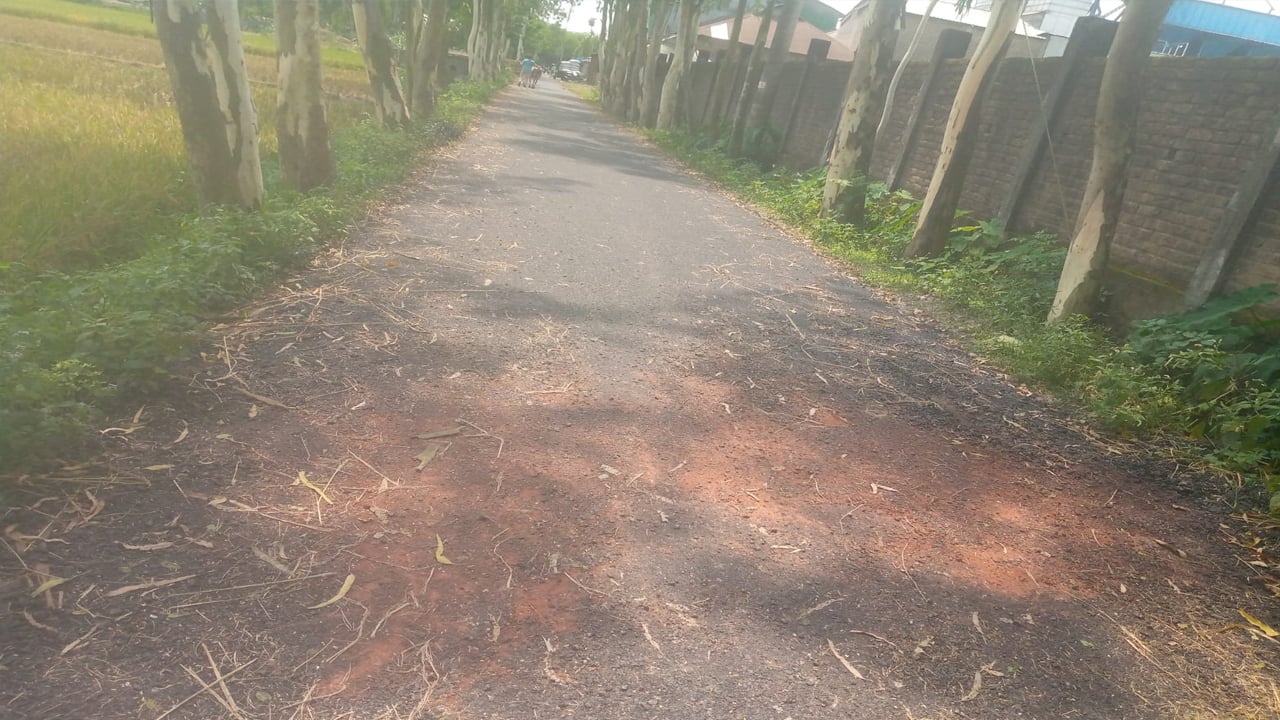সড়ক নির্মাণে অনিয়ম, বিল আটকে দিলেন ইউএনও