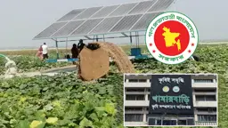 আট লাখ হেক্টর চরভূমিতে বদলে যাচ্ছে দুই কোটি মানুষের ভাগ্য