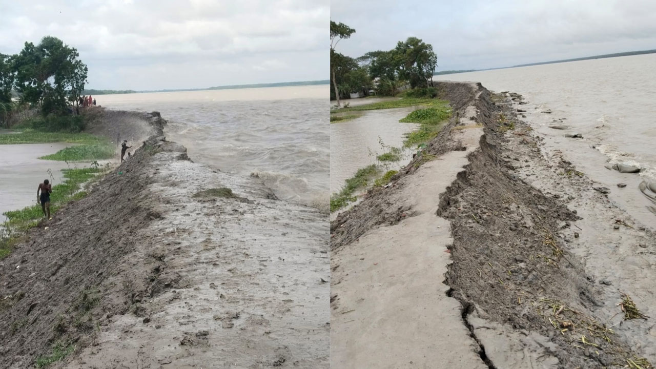 নদীর ভাঙনে আবারও বিলীন ৪০০ ফুটের বেড়িবাঁধ