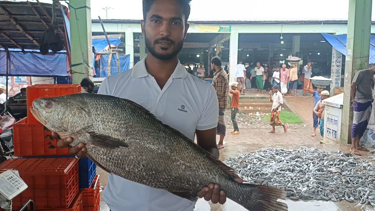 আট কেজির বিরল পোয়া মাছ অর্ধলাখে বিক্রি