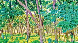 চলতি অর্থবছরে লোকসান দুই কোটি টাকা