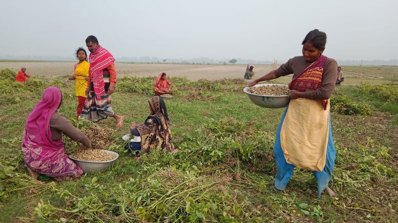 দারিদ্রতার কাছে বৈশাখের আনন্দ ম্লান কুড়িগ্রামের চরাঞ্চলে