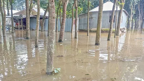 পানিবন্দি অর্ধলাখ মানুষ, ২৫ শিক্ষাপ্রতিষ্ঠানে পাঠদান বন্ধ