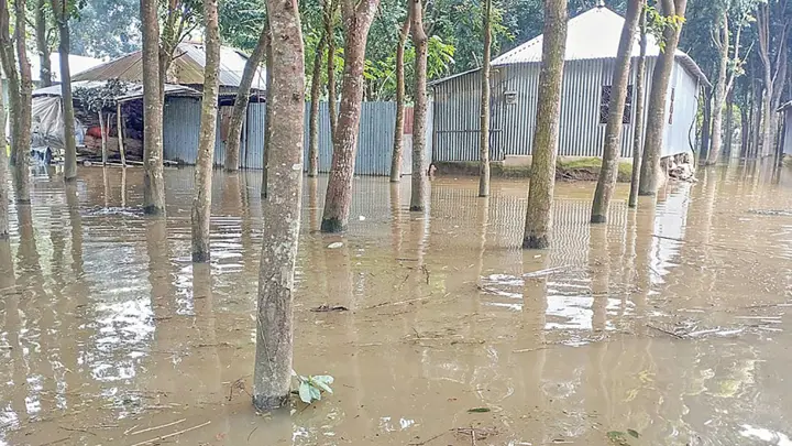পানিবন্দি অর্ধলাখ মানুষ, ২৫ শিক্ষাপ্রতিষ্ঠানে পাঠদান বন্ধ