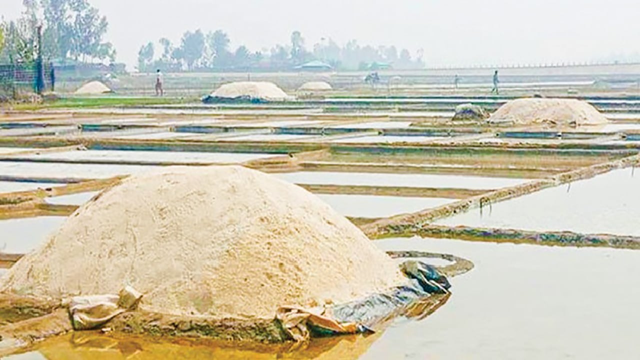 লবণের কেজি চার টাকা দিশাহারা চাষিরা