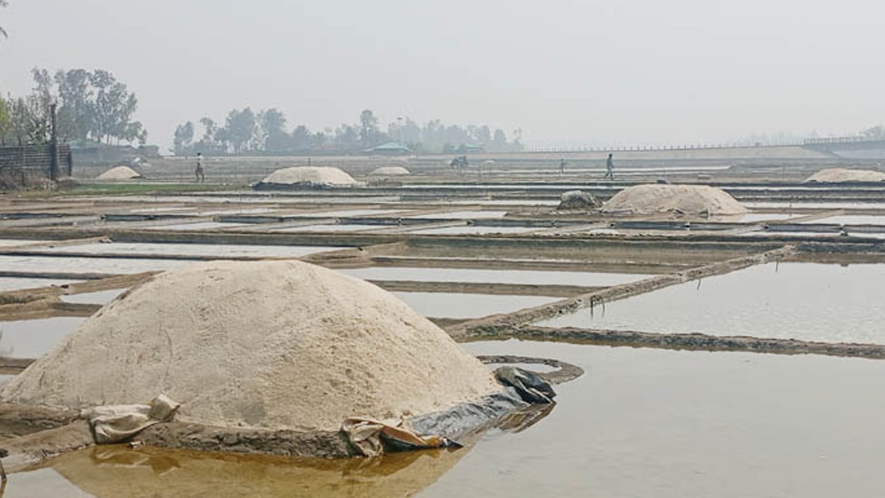 কুতুবদিয়ায় মাঠে লবণের কেজি ৪ টাকা, লোকসানে চাষিরা