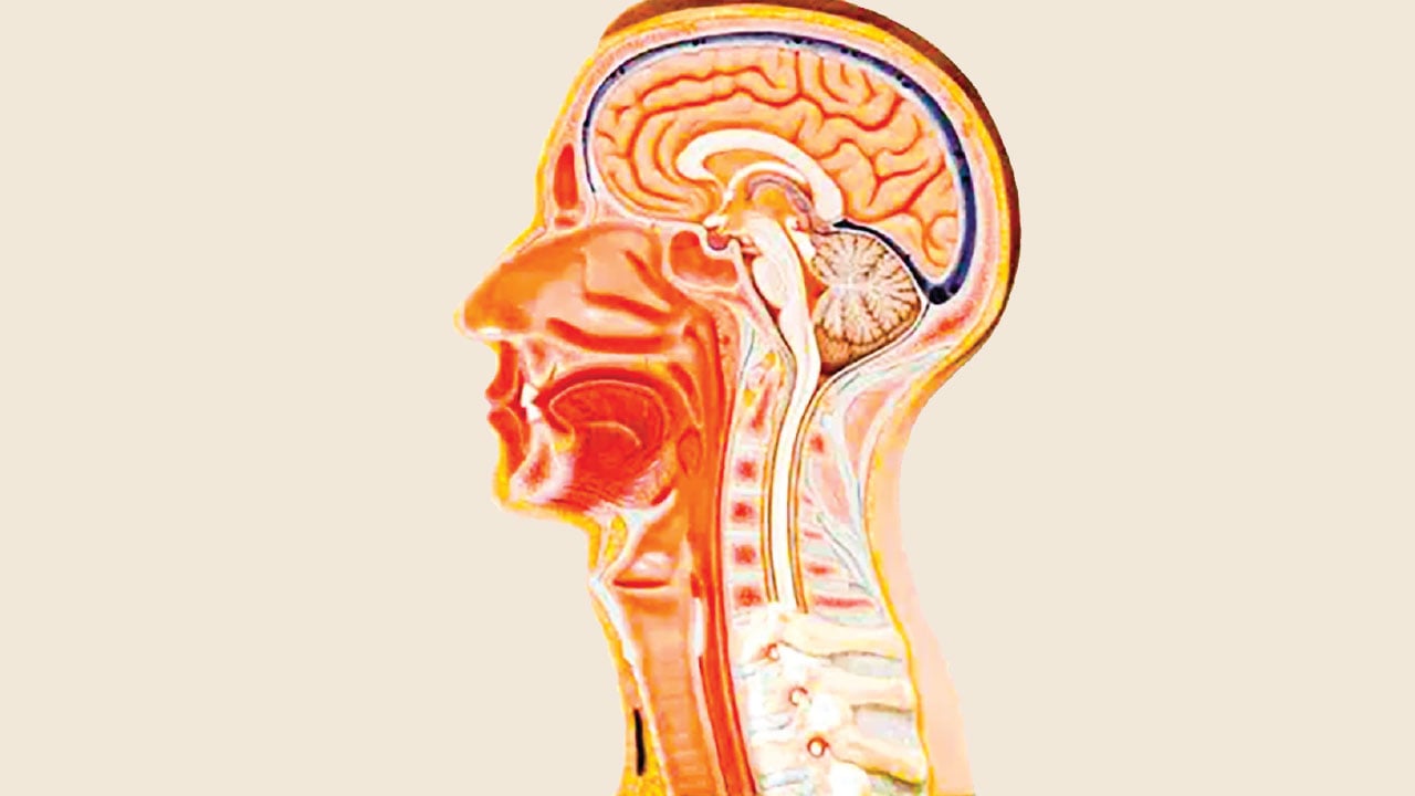 হেড অ্যান্ড নেক ক্যানসার প্রতিরোধে করণীয়