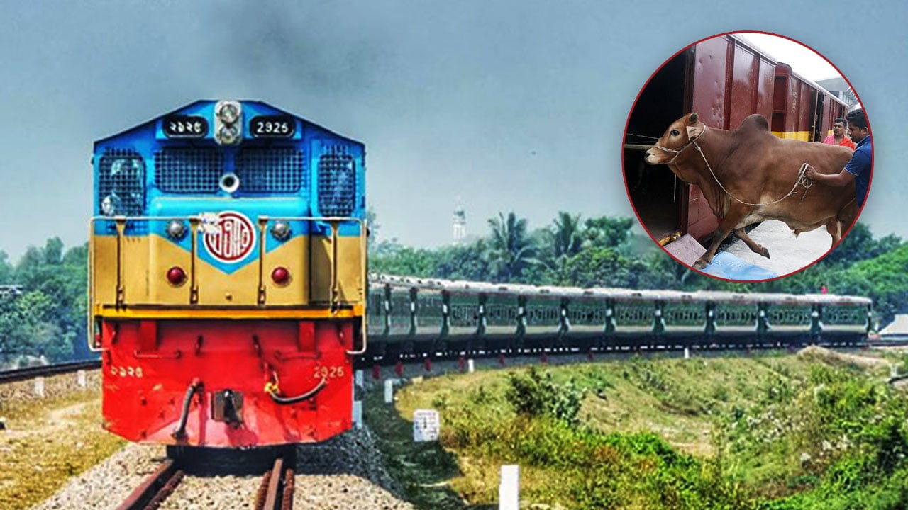 লোকসানে বন্ধ ম্যাঙ্গো ও ক্যাটল স্পেশাল ট্রেন