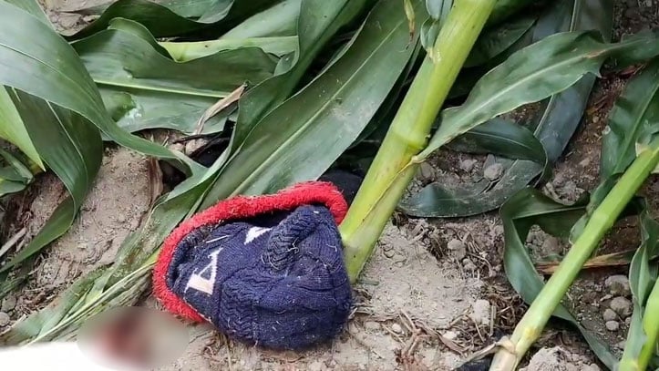 ভুট্টাক্ষেতে পড়েছিল নারীর মাথাবিহীন দেহ