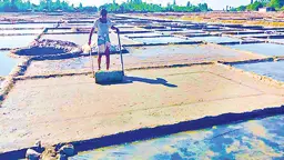 উৎপাদন বাড়াতে মাঠে নামার অপেক্ষায় ৮ হাজার লবণচাষি