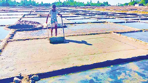 উৎপাদন বাড়াতে মাঠে নামার অপেক্ষায় ৮ হাজার লবণচাষি 