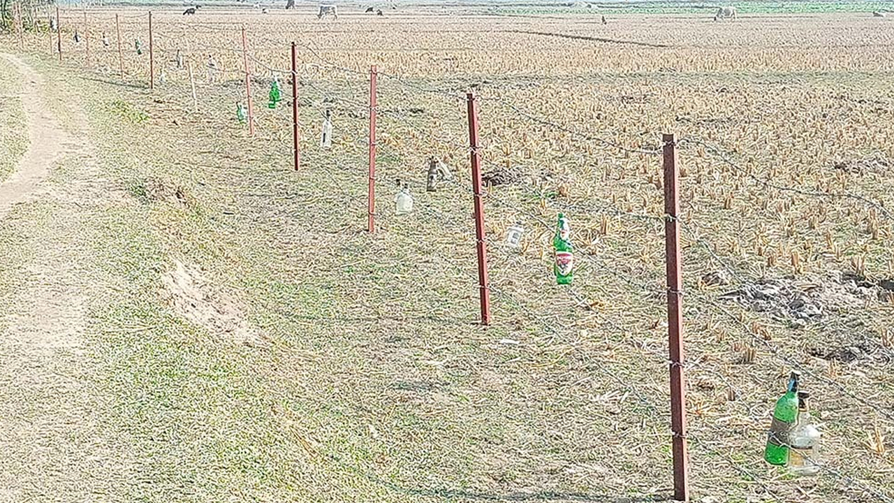 দহগ্রাম সীমান্ত এলাকায় আতঙ্কে দিন কাটছে বাংলাদেশিদের