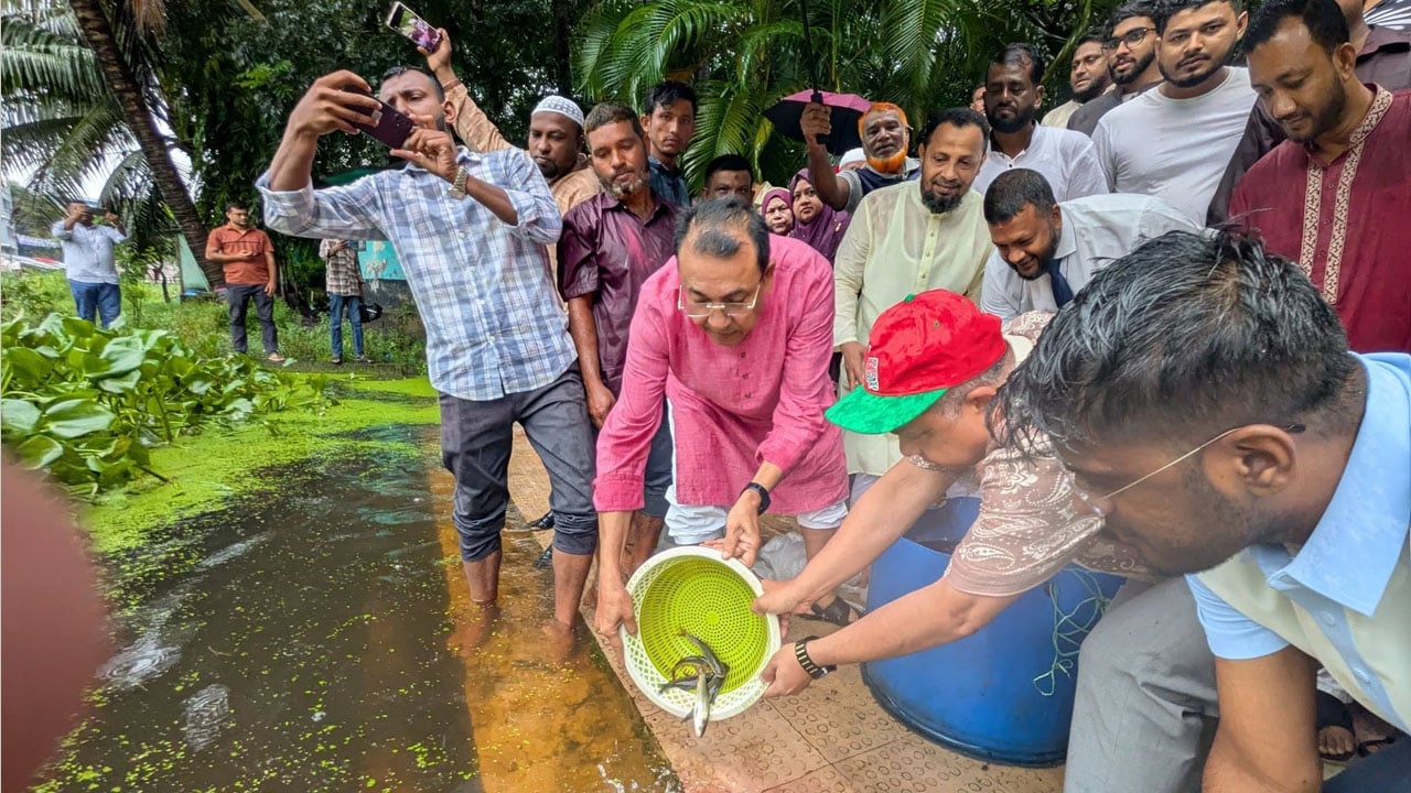 লক্ষ্মীপুরে বিএনপির প্রতিষ্ঠাবার্ষিকীতে মাছের পোনা অবমুক্ত ও চারা বিতরণ