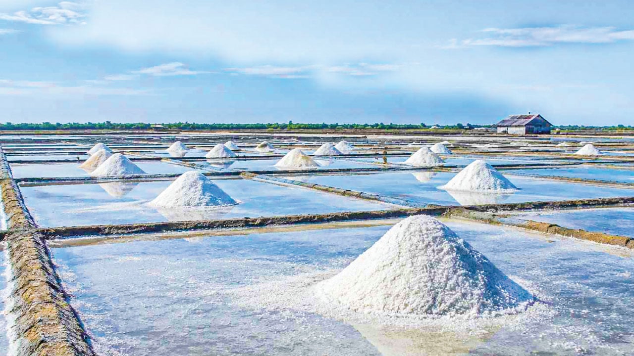মধ্যস্বত্বভোগীদের কারণে ন্যায্যমূল্য পাচ্ছেন না বাঁশখালীর লবণচাষিরা