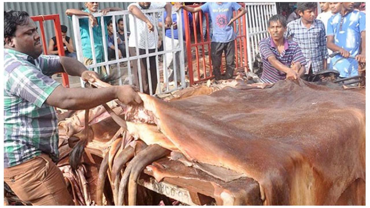 ভারতের স্বার্থ রক্ষায় দেড় দশক থমকে ছিল চামড়া শিল্প