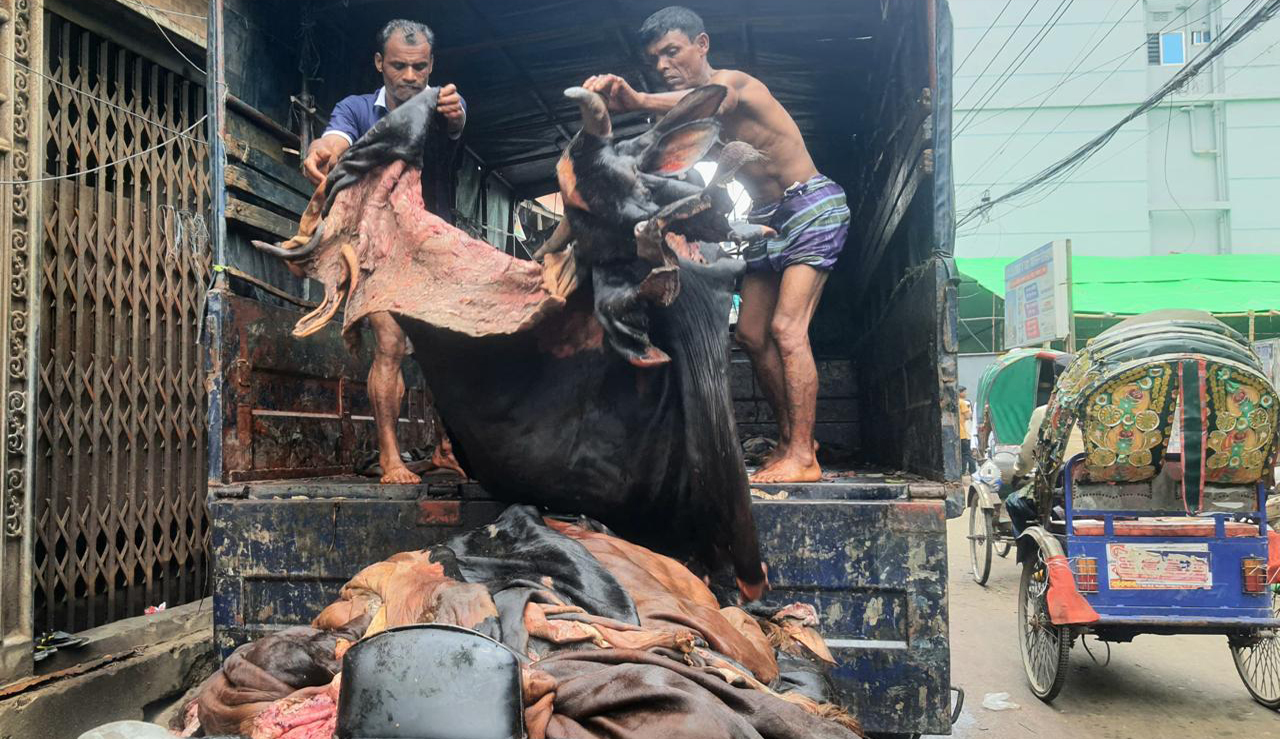 চামড়ার দাম নিয়ে হতাশ বিক্রেতারা
