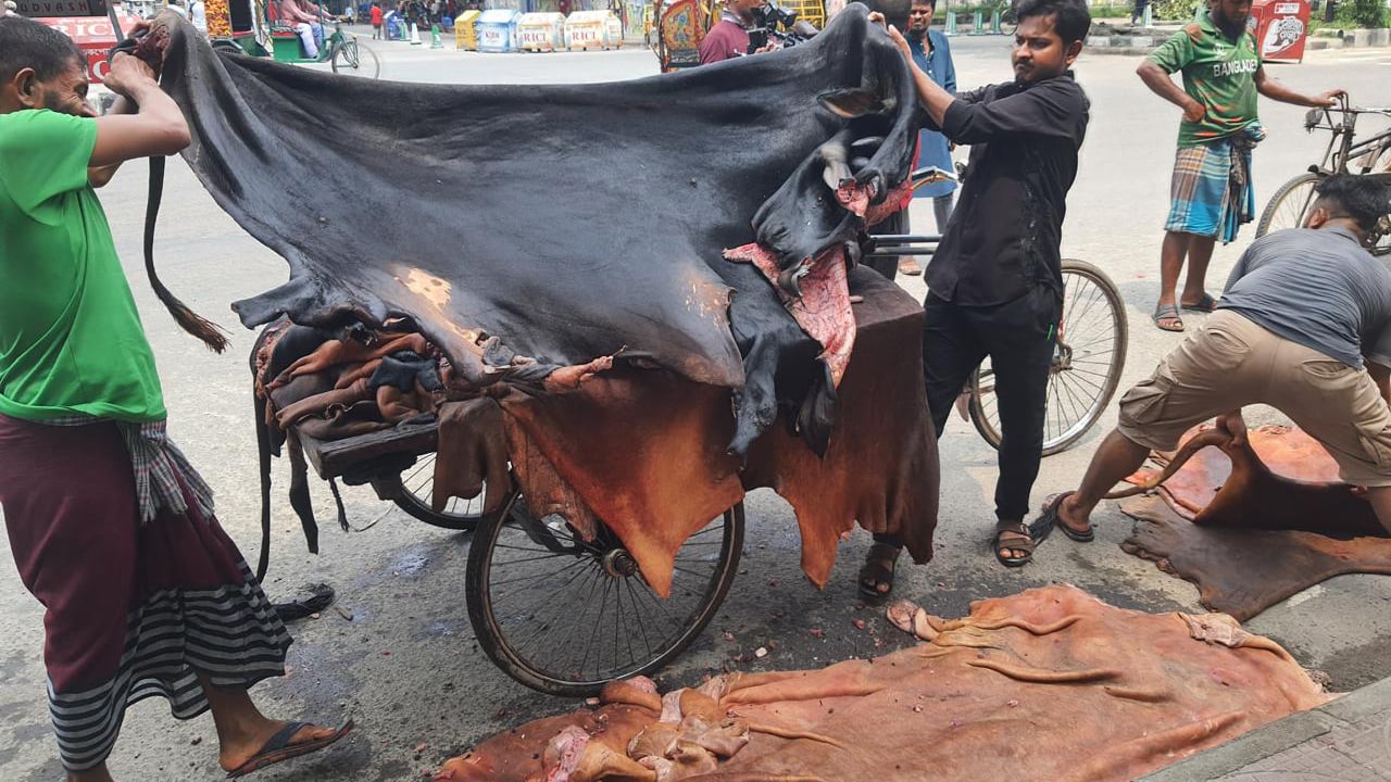 ধানমন্ডির তাকওয়া মসজিদে পশুর চামড়া বিক্রি রেকর্ড দামে