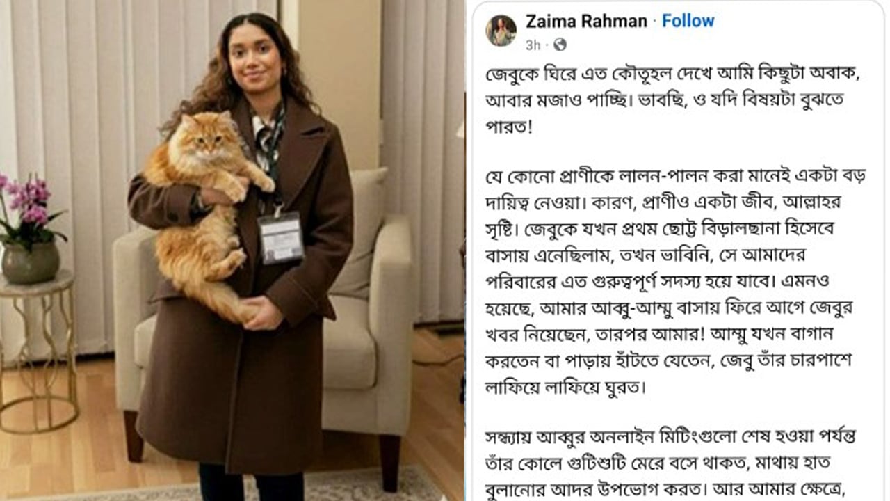 ‘জেবু’র বেড়ে উঠার গল্প জানালেন জাইমা রহমান