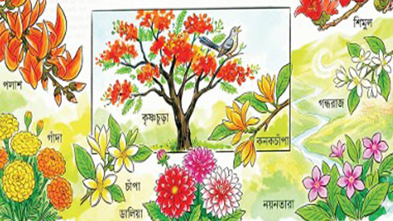 বসন্তের কিছু ফুল