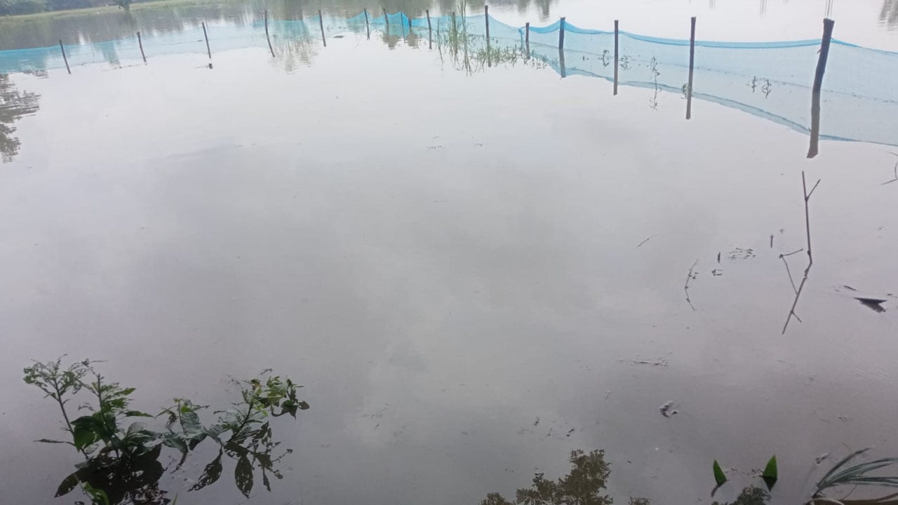 লোহাগাড়ায় মৎস্য খাতে ৮ কোটি টাকার ক্ষতি