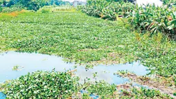 অস্তিত্ব হারানোর পথে আড়িয়াল খাঁ, ময়নাকাটা