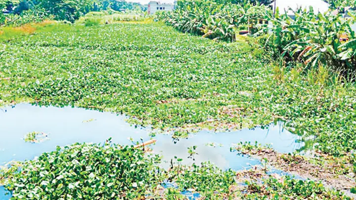 অস্তিত্ব হারানোর পথে আড়িয়াল খাঁ, ময়নাকাটা