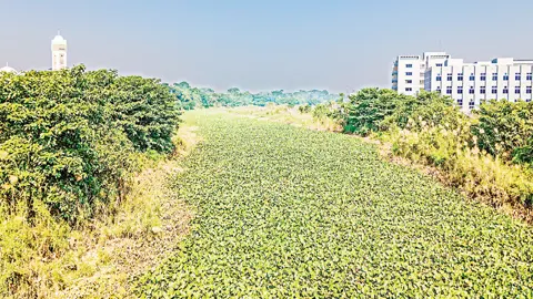 নাব্য সংকটে হারিয়ে যাচ্ছে আড়িয়াল খাঁ-ময়নাকাটা