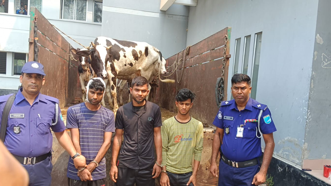 ‘দিনে চুরি করেছি, রাতেই ধরা’