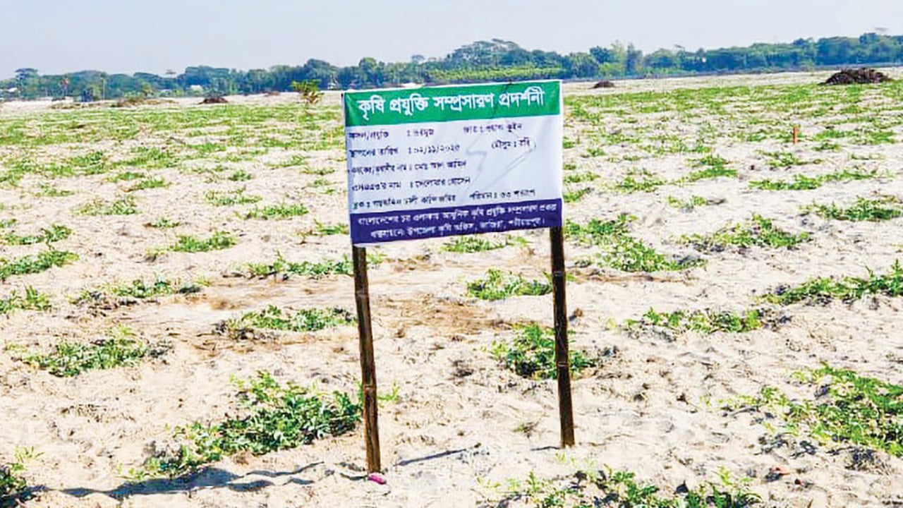 শেখ হাসিনা তাঁতপল্লি প্রকল্পের নামে সীমাহীন লুটপাট