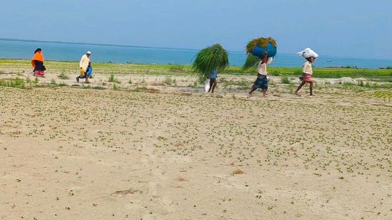 অনিশ্চয়তার মাঝেও টিকে থাকার লড়াই