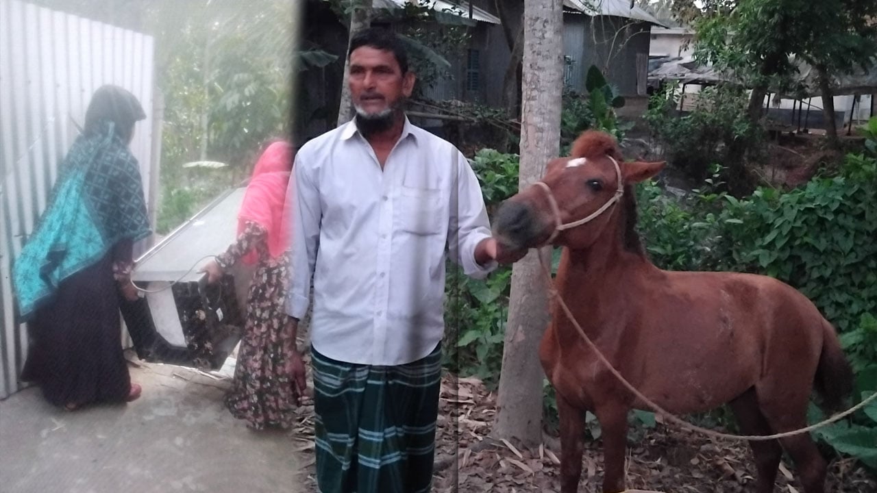 শ্বশুরবাড়িতে জামাইদের তাণ্ডব, ঘোড়া ও নগদ টাকাসহ মালামাল লুট