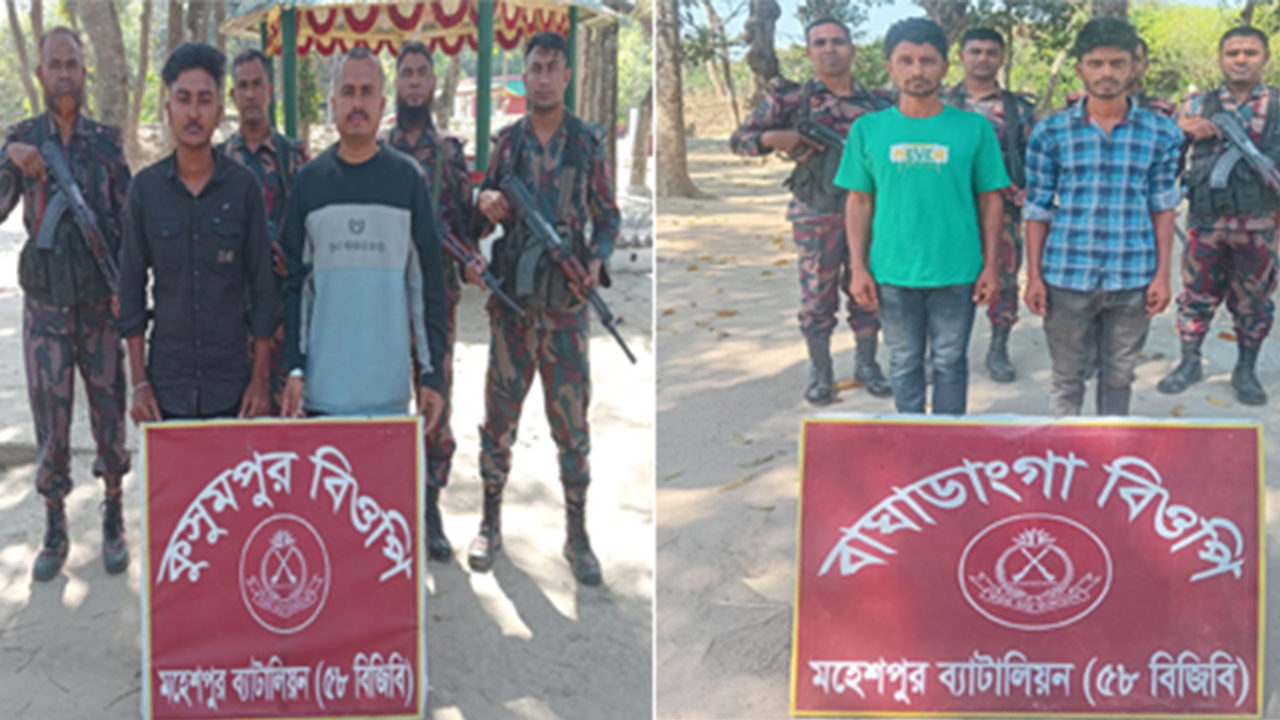 সীমান্ত পারাপারের চেষ্টা, দালালসহ আটক ১৯